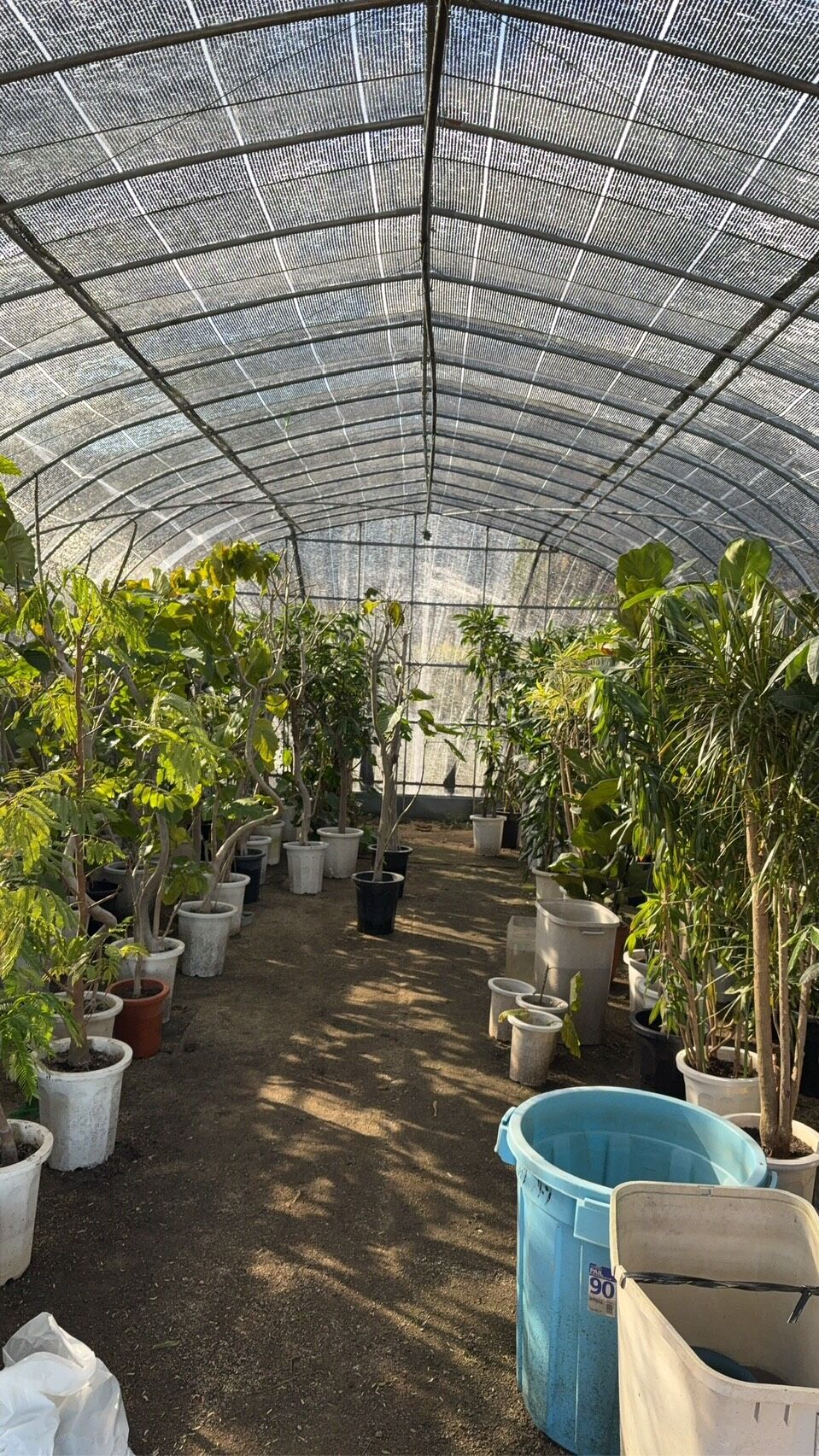 観葉植物リース鉢