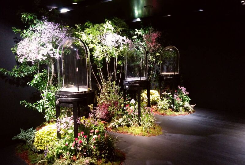 画像1499：イベント　観葉植物リース