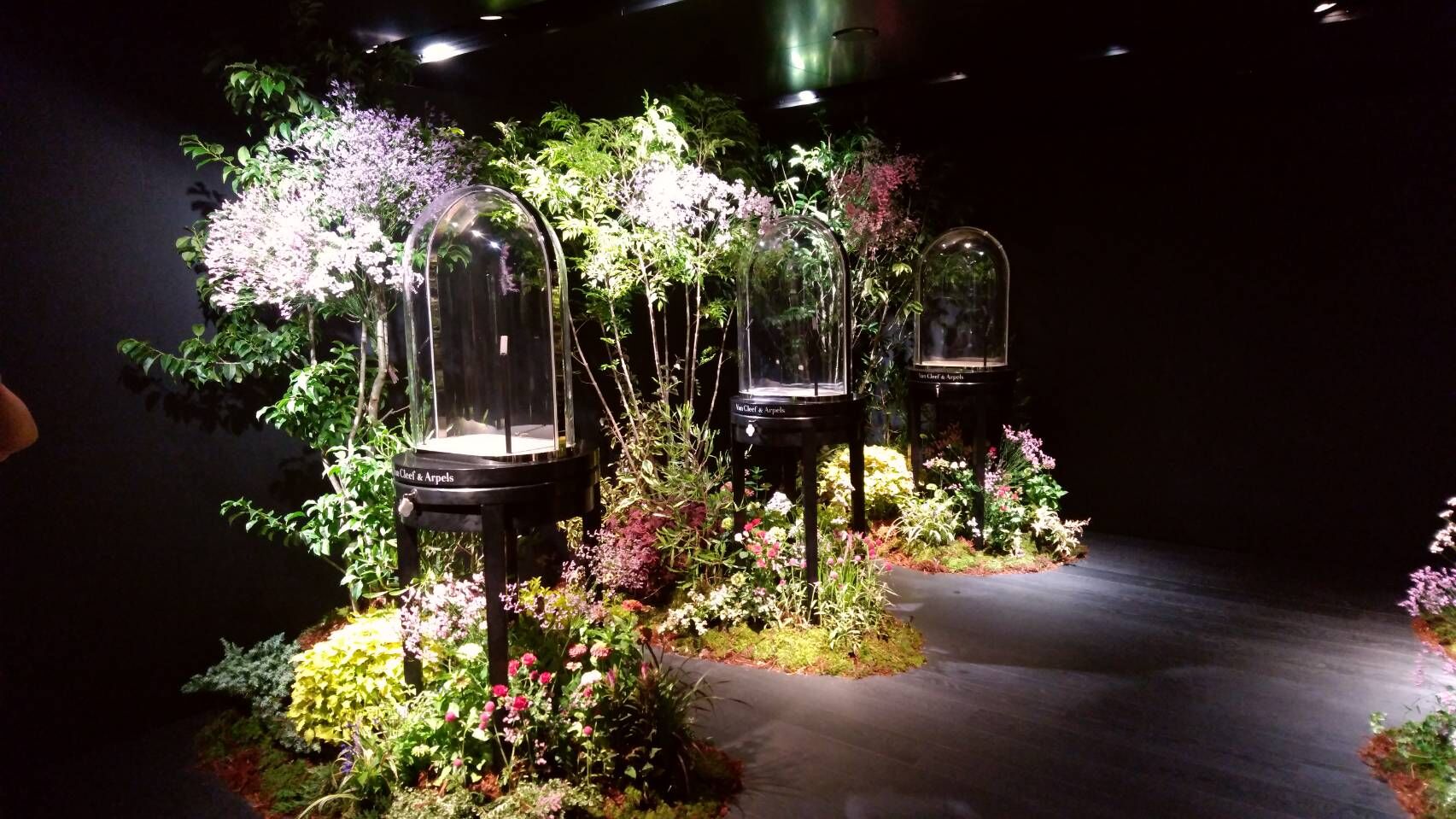 イベント　観葉植物リース