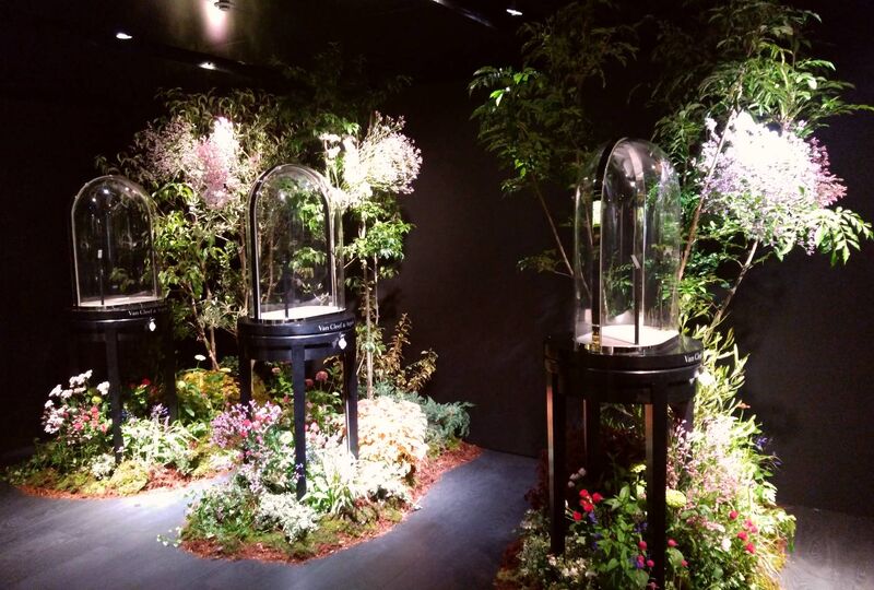 画像1502：イベント　観葉植物リース