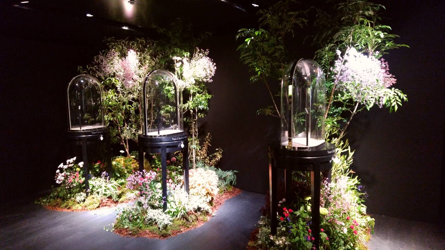 イベント　観葉植物リース