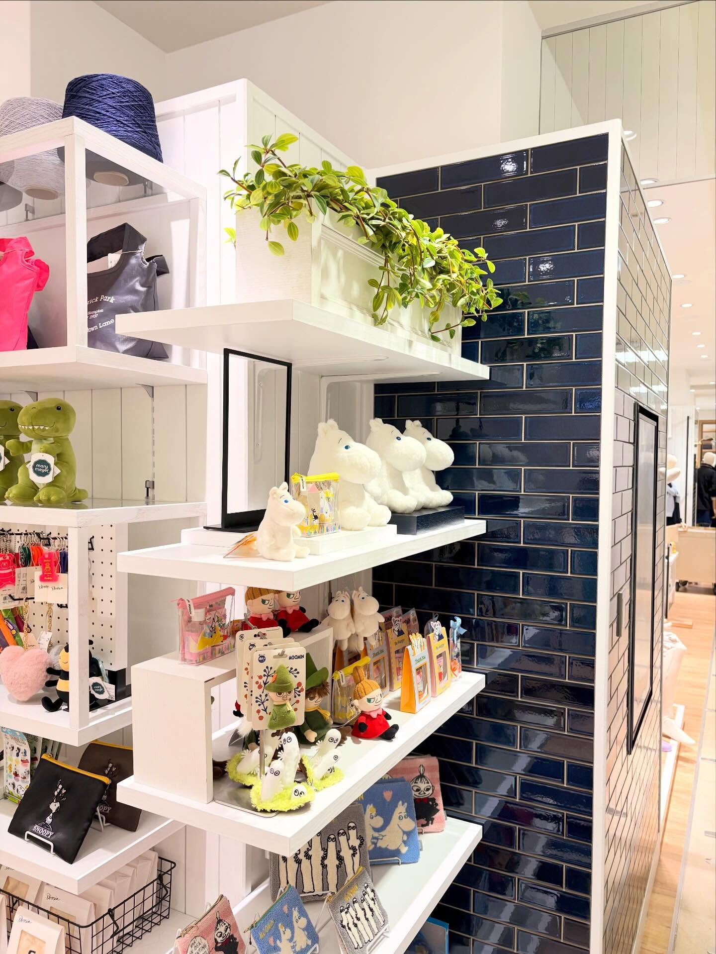 先日、店舗様へ観葉植物を納品させていただきました