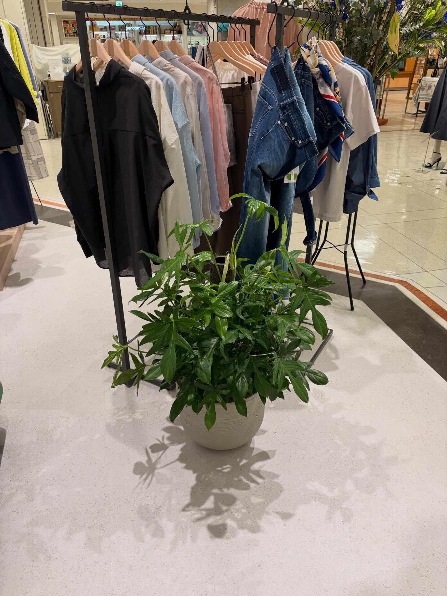 植木の納品をさせていただきました