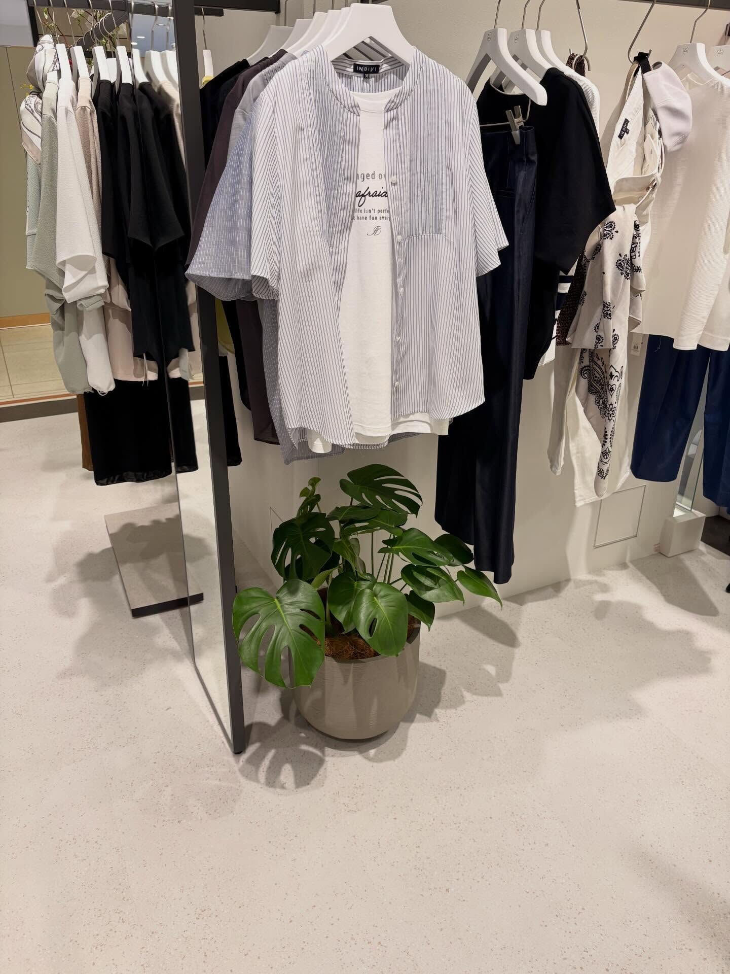 植木の納品をさせていただきました