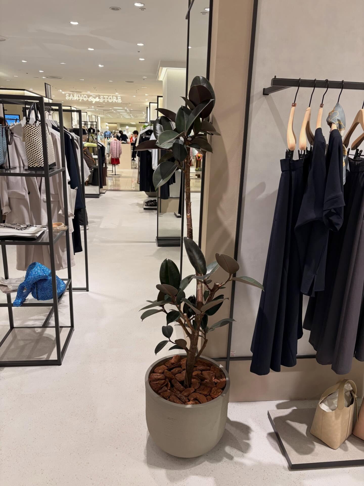 植木の納品をさせていただきました