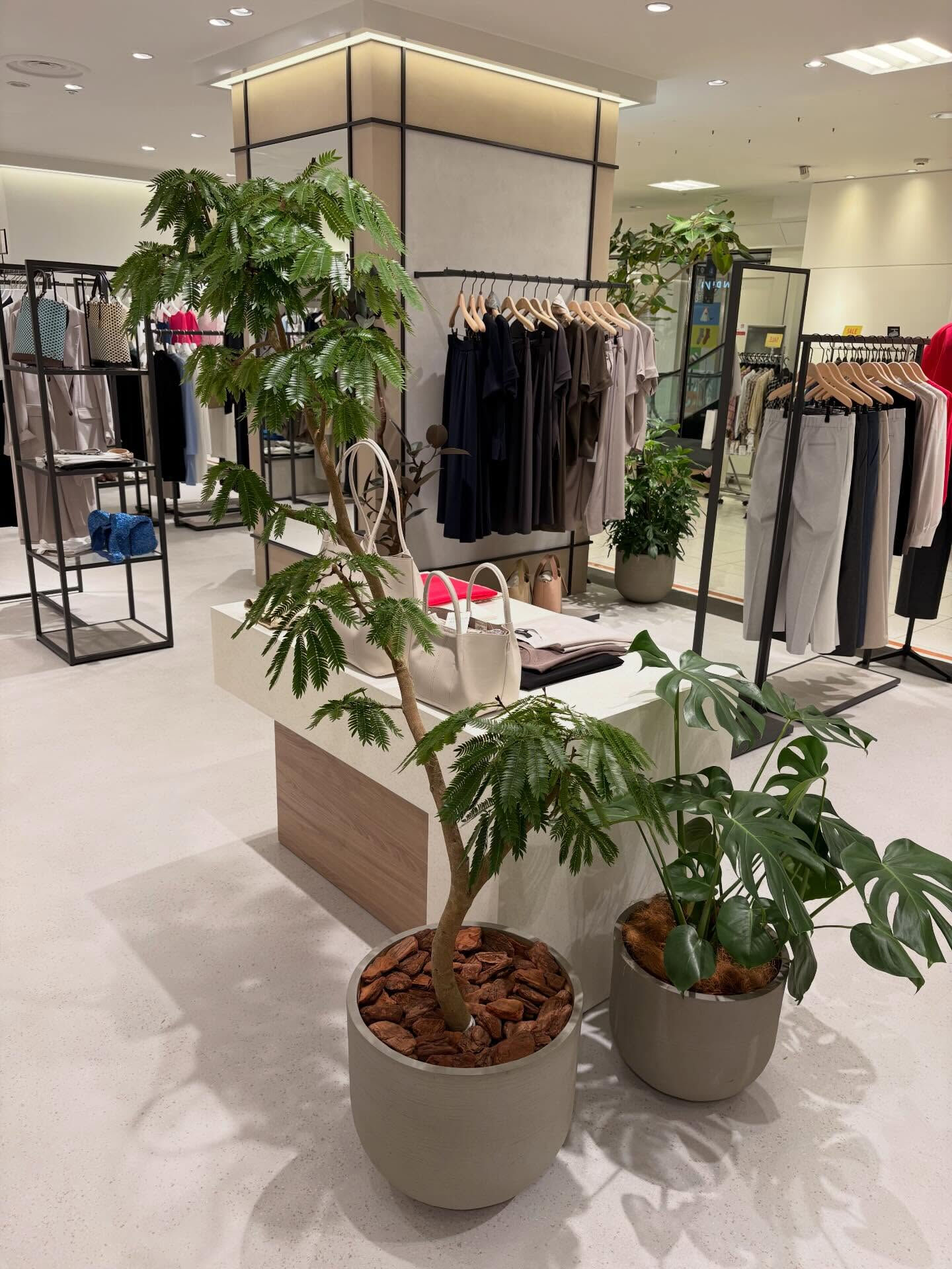 植木の納品をさせていただきました