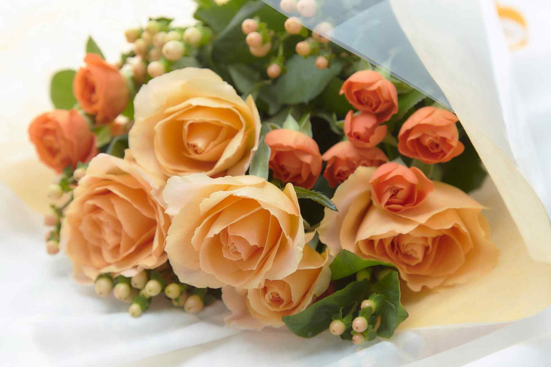バラの花