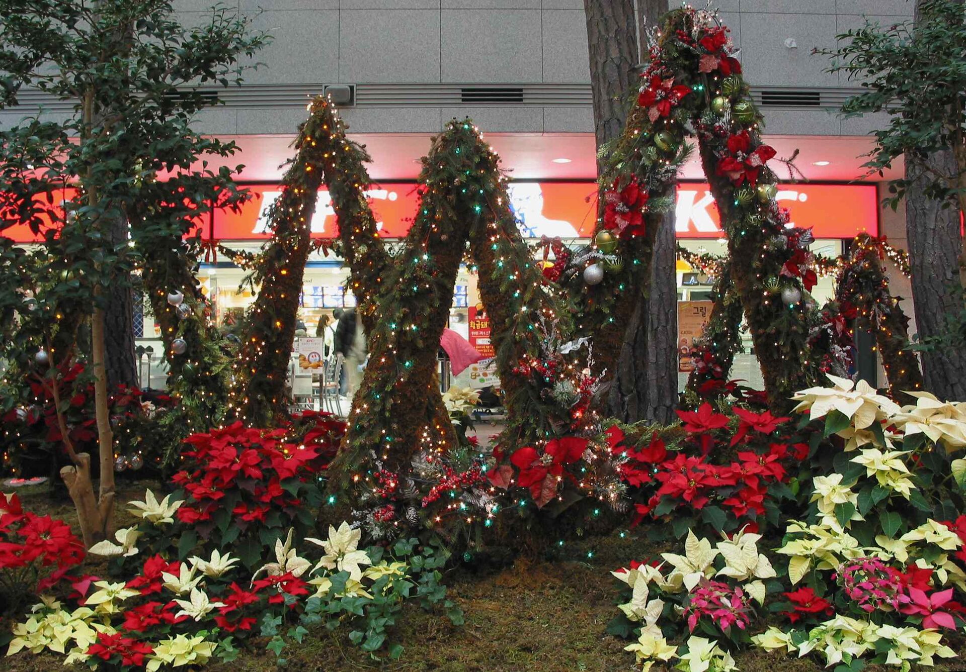 イベント