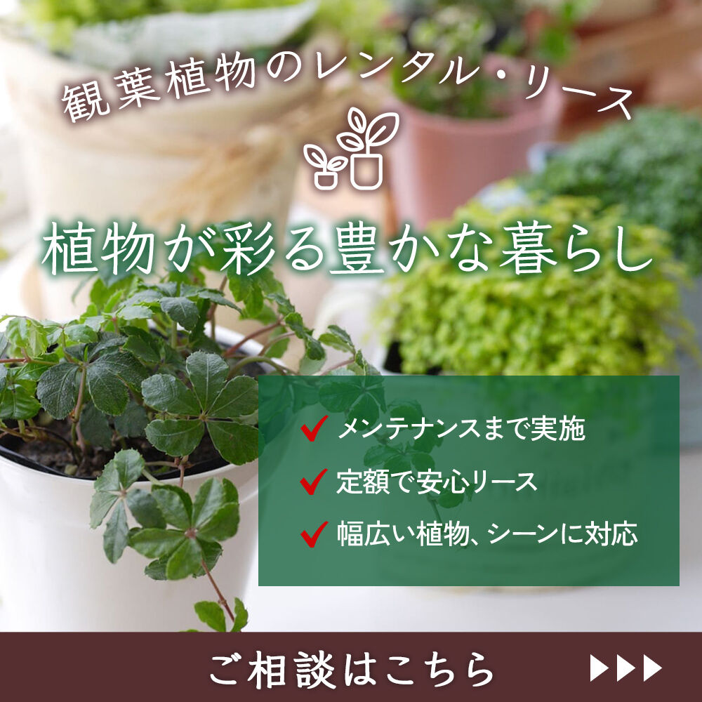 modal_banner